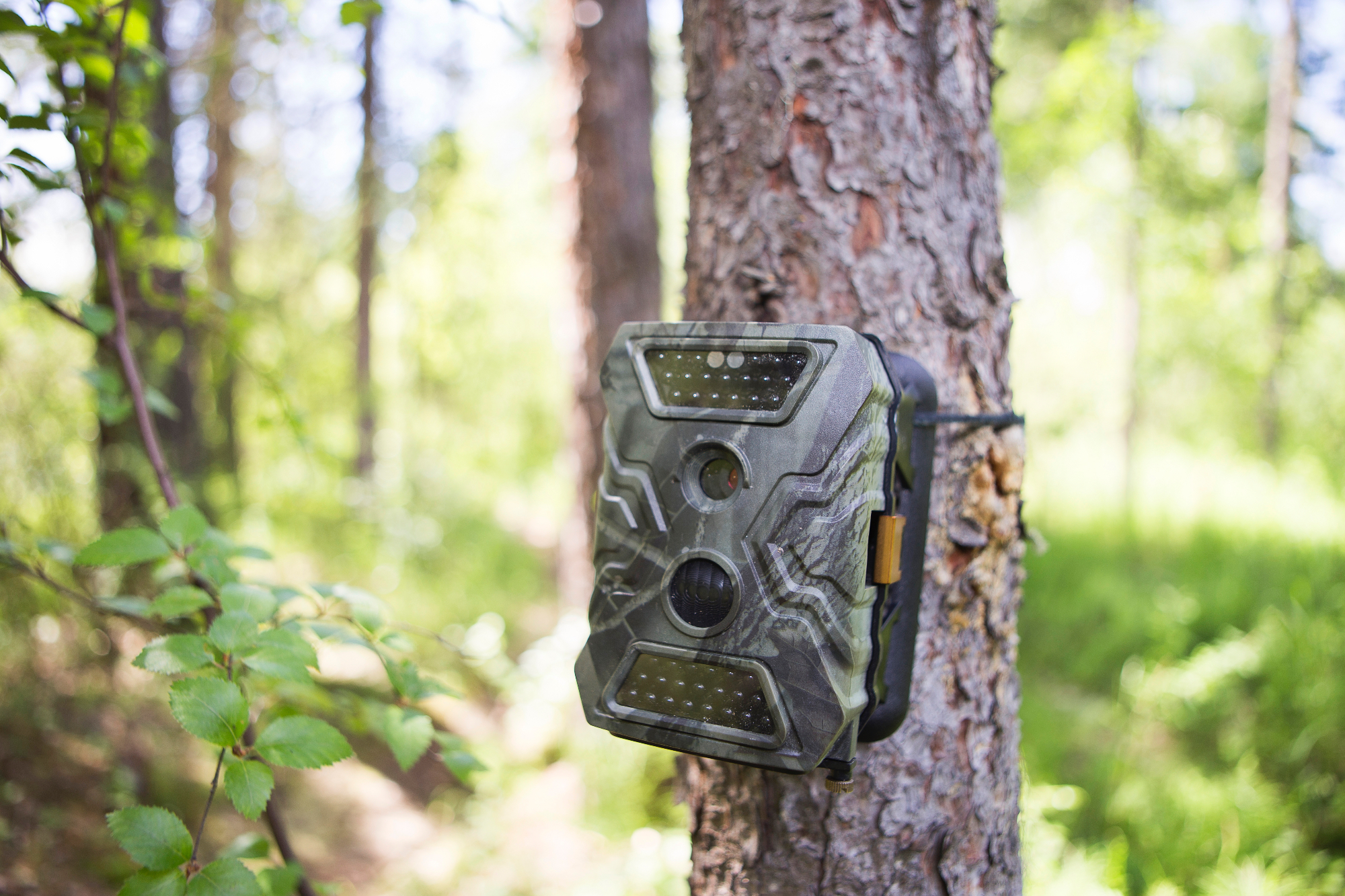 Lovska kamera je odlično darilo za novopečenega lovca